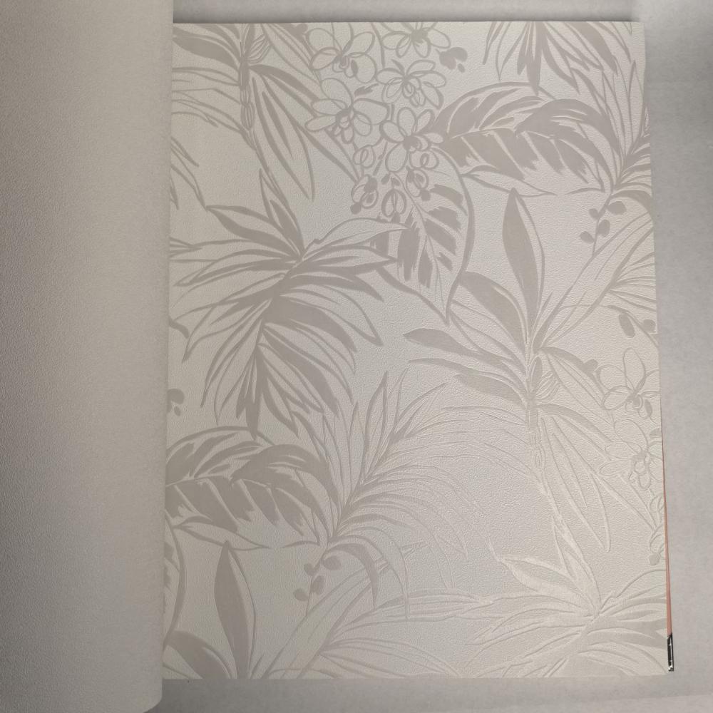 Andrea Rossi Berggi 54446-2