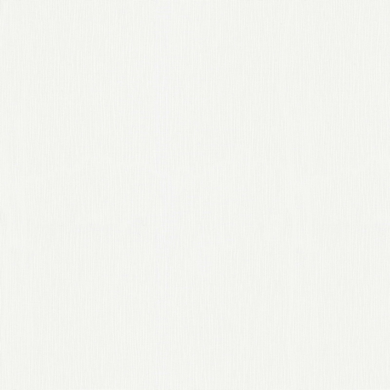 Erismann Fashion for Walls ER 12186-01