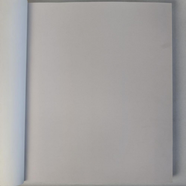 Andrea Rossi Cavolli 54424-6