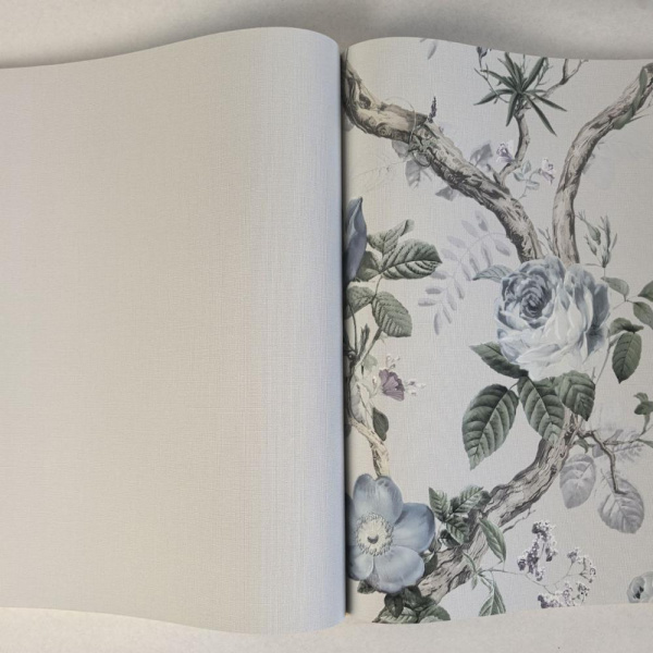 Andrea Rossi Cavolli 54420-6