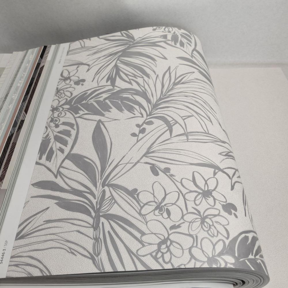 Andrea Rossi Berggi 54446-3