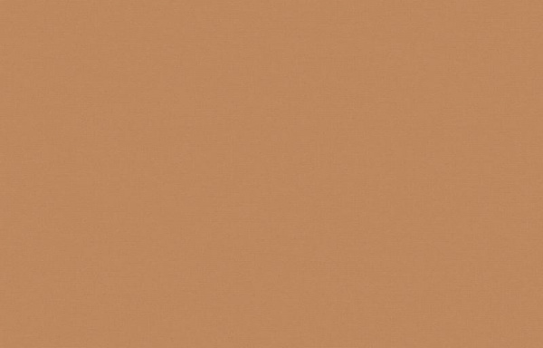 Loymina Equator QTR8 004_2