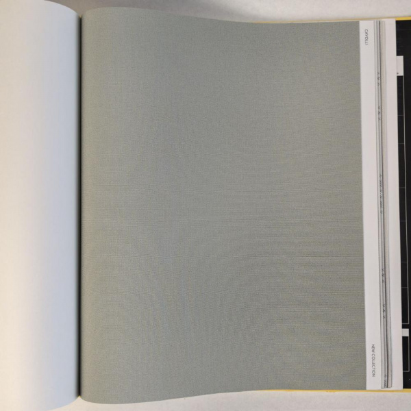 Andrea Rossi Cavolli 54416-10