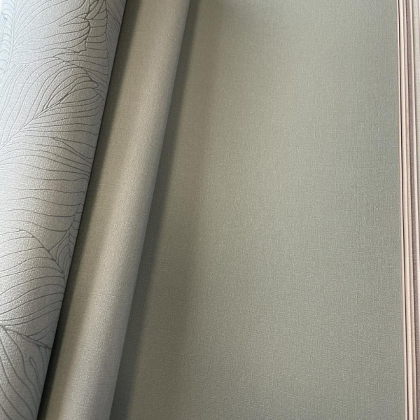 Andrea Rossi Palmaria 54463-12