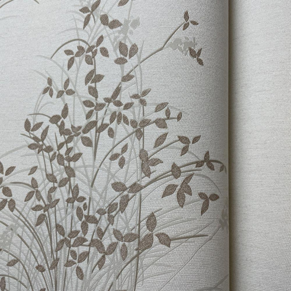 Andrea Rossi Palmaria 54468-3