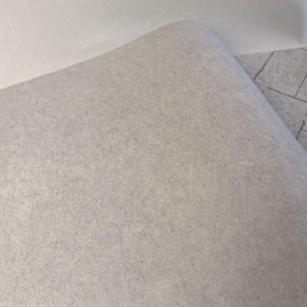 Andrea Rossi Cavolli 54422-7