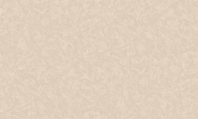 Roberto Borzagi King 90112-6