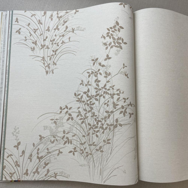 Andrea Rossi Palmaria 54468-3