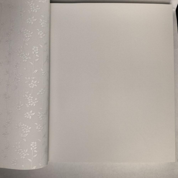 Andrea Rossi Berggi 54450-1