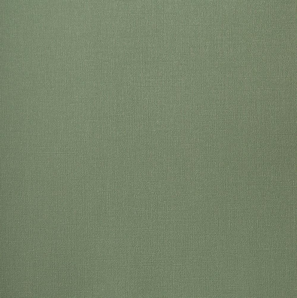 Andrea Rossi Palmaria 54463-12